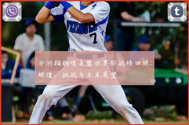 非洲雄狮喀麦隆世界杯战绩回顾：辉煌、挑战与未来展望